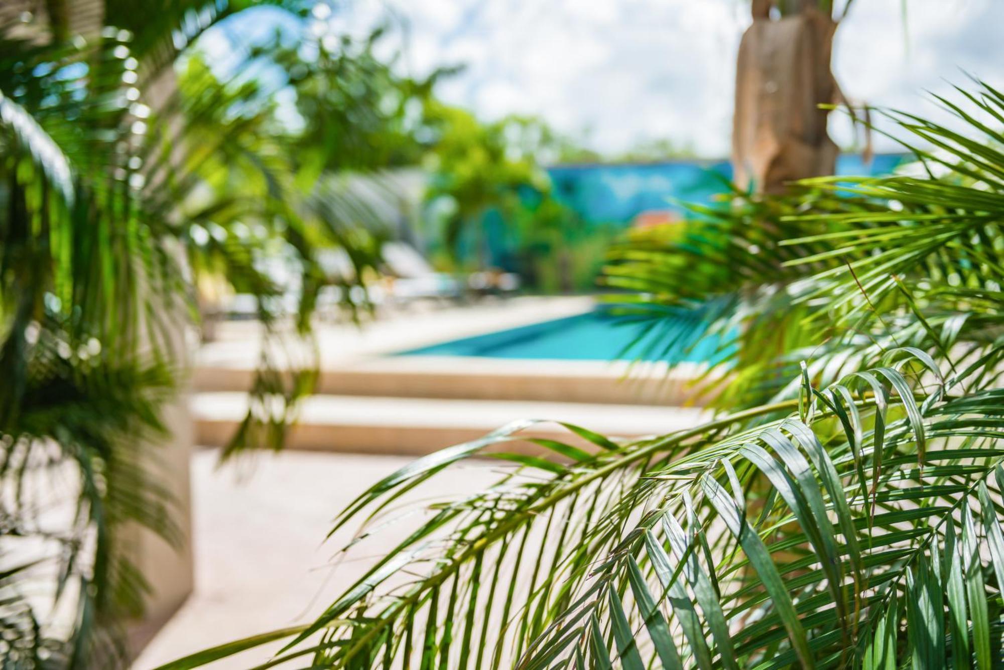 Casita Palma Boutique Resort Playa Extérieur photo